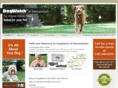 dogwatchbymike.com