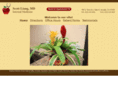 drscottliang.com