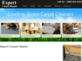 expertcarpetrepair.com