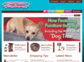 hollywoodkittyco.com
