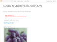 judithmandersonfinearts.com