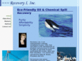 recoveryiinc.net