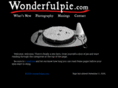 wonderfulpie.com