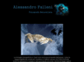 alessandrofalleni.com