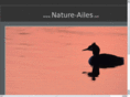 nature-ailes.net