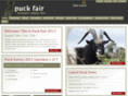 puckfair.ie