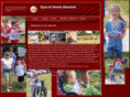 specialneedsbaseball.com