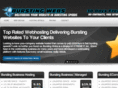 burstingwebs.com