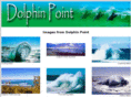 dolphinpoint.org