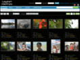 gagatam.com