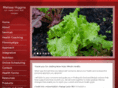 insightfulhealing.com