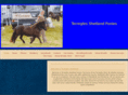 terreglesstud.com