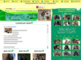 clovercocker.com