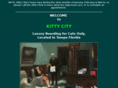 kittycitytampa.com