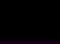 liveinsim.com