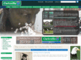 surgeonsclarksville.com