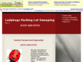 ladybugssweeping.com