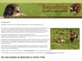 baywings.co.uk