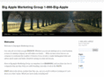 bigapplemarketinggroup.com