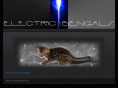 electricbengals.net