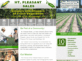mtpleasantsales.com