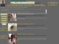 steamndry.com