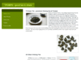tpumps.com