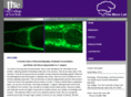 manolab.org