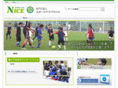 nice-soccer.net