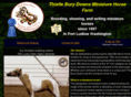 tbdminihorse4u.com