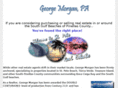 georgemorganpa.com
