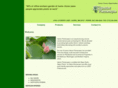 interiorplantscapes.com