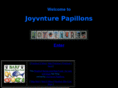 joyvnture.com