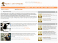 project-outsourcing.net