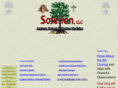 soterion-llc.com