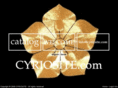 cyriosite.com