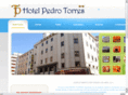 hoteltorres.net