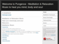 pungence.com