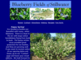 blueberryfieldsofstillwater.com