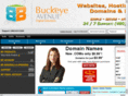 buckeyeavenuedomains.com
