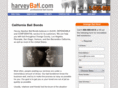 harveybail.com