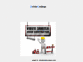 orbitcollege.com