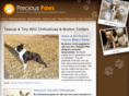 preciouspawspuppies.com