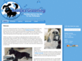 bubblespetgrooming.net