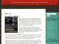 raceteamaudio.com