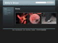 billysboys.com
