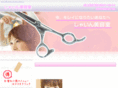 bs-shine.com