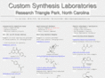 customsynthesis.com
