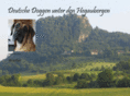 dt-doggen-unter-den-hegaubergen.de