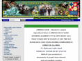 limerickshow.com